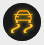 Traction Control Indicator Light