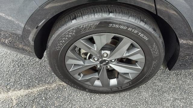 2024 Kia Sportage SX